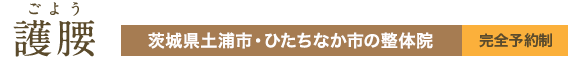 護腰 │ヘルニア・脊柱管狭窄症は、護腰にお任せ│茨城県土浦市・ひたちなか市の整体院